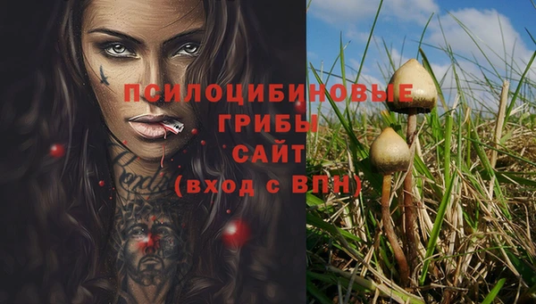 бошки Гусев