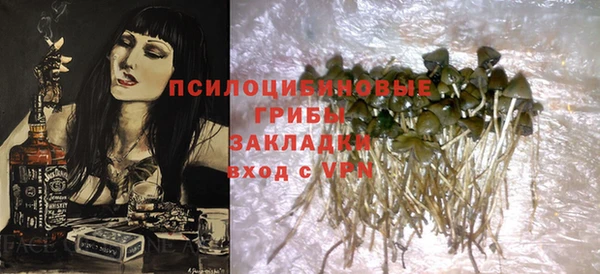 бошки Гусев