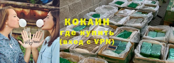 бошки Гусев
