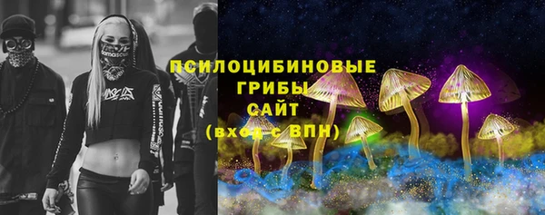бошки Гусев