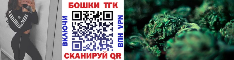Купить где Новая Ладога Шишки марихуана THC 21%